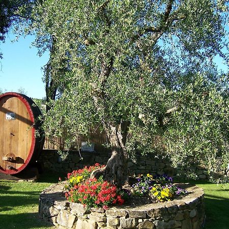 Hotel Belvedere Di San Leonino Castellina in Chianti Exterior photo