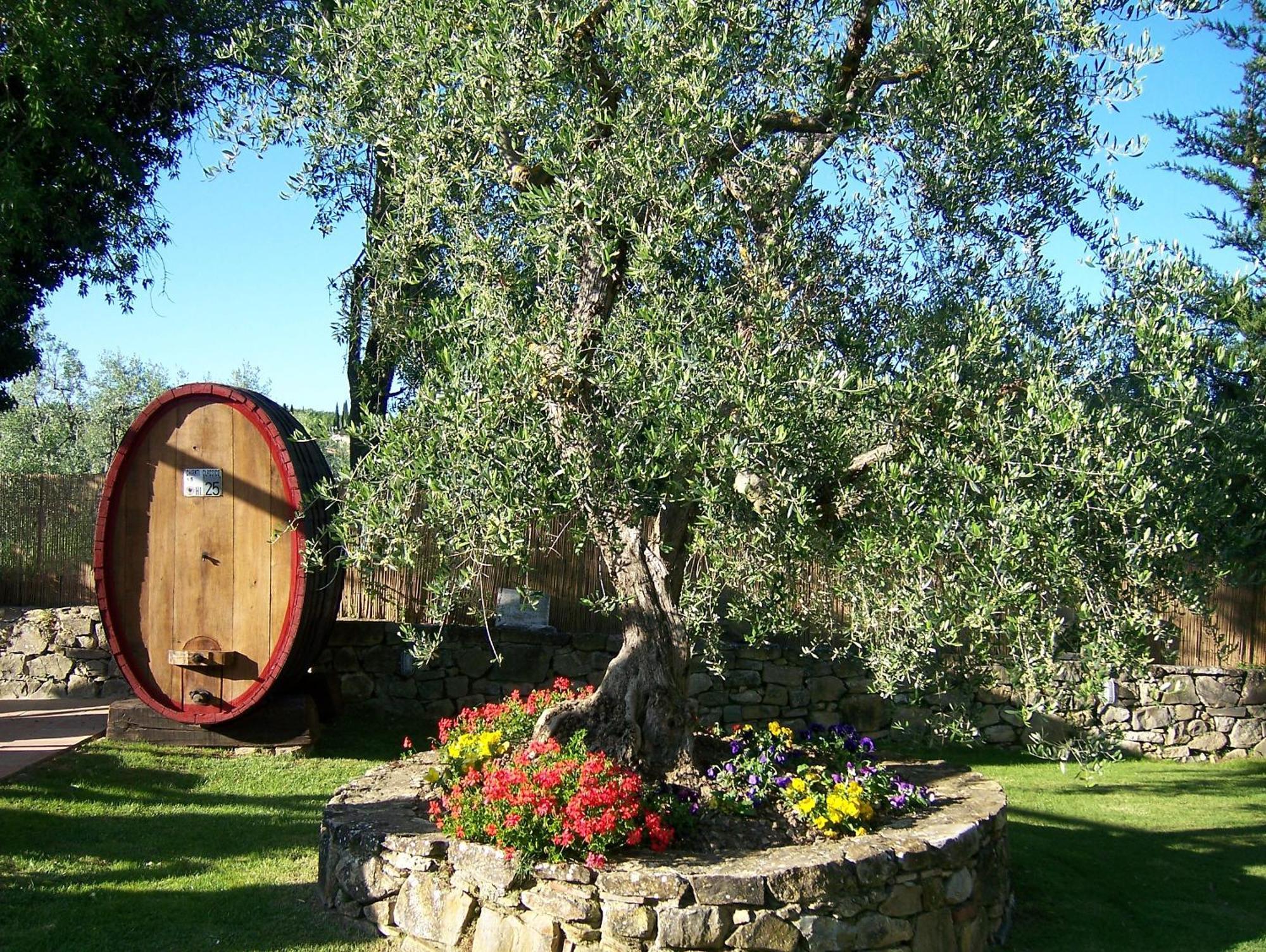 Hotel Belvedere Di San Leonino Castellina in Chianti Exterior photo