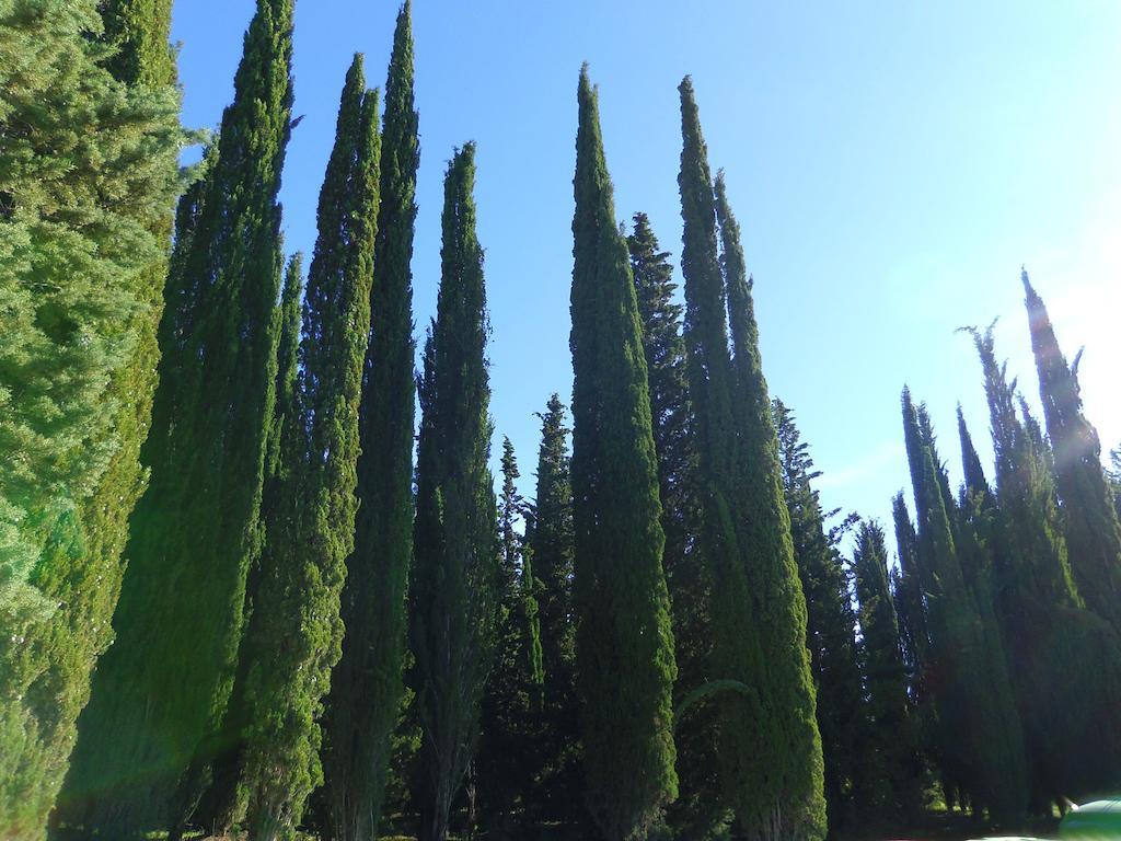 Hotel Belvedere Di San Leonino Castellina in Chianti Exterior photo